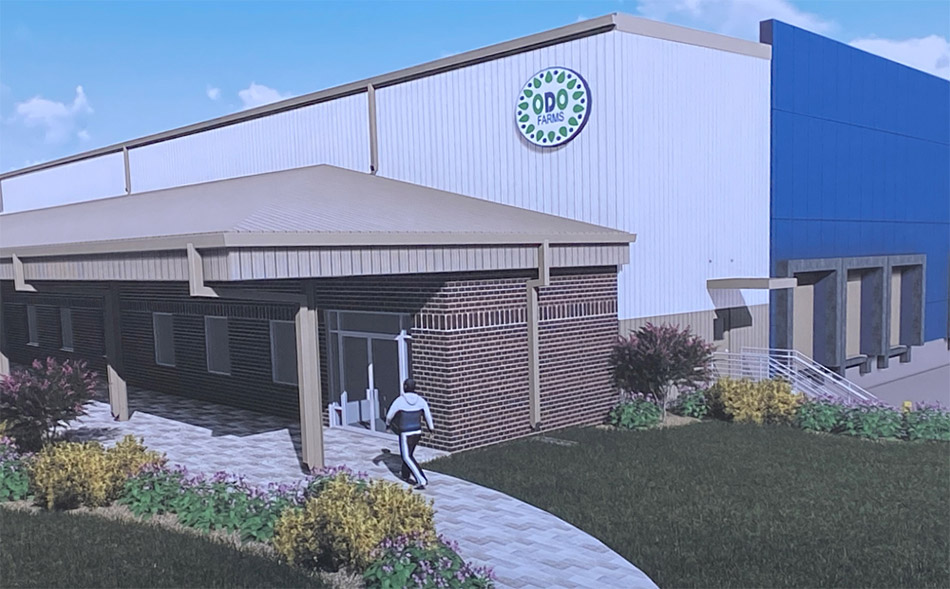 ODO Farms organic produce processing & packing facility