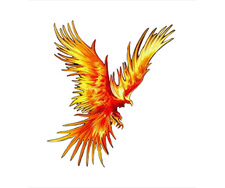 Lake Phoenix Scuba Park, Family Campgrounds & Paintball