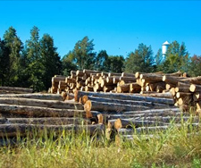 Virginia-Carolina Forest Products, Inc.